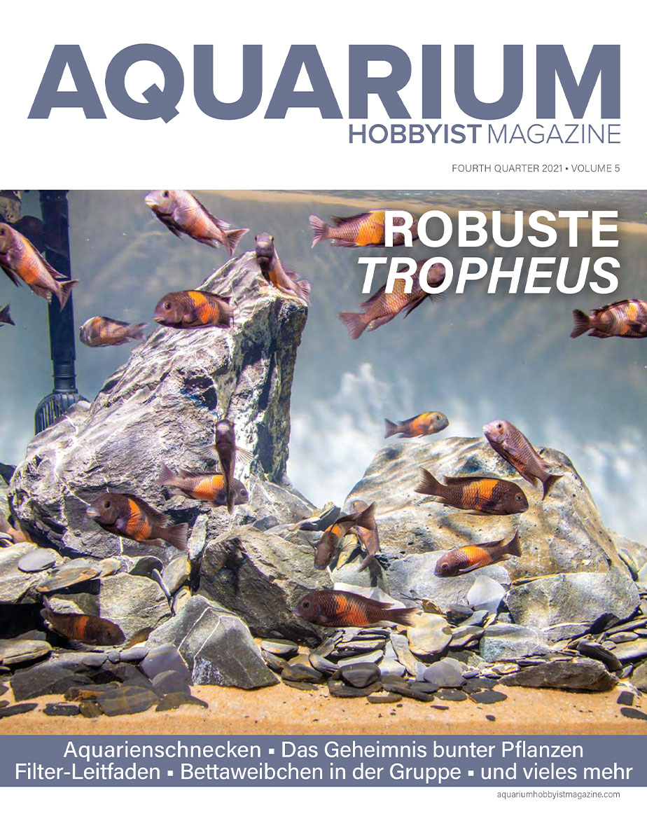 Europeanaquaristics