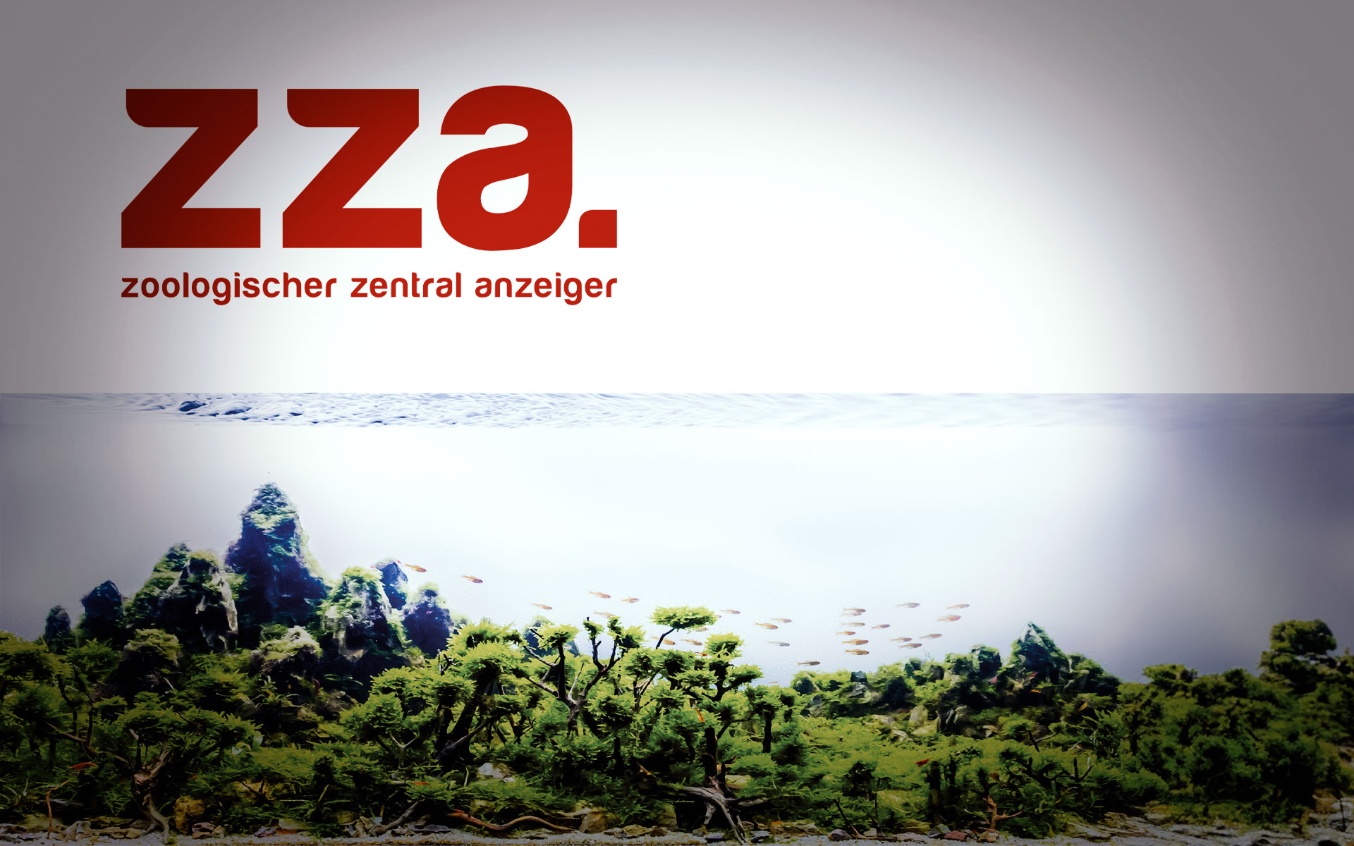 ZZA Interview mit EA