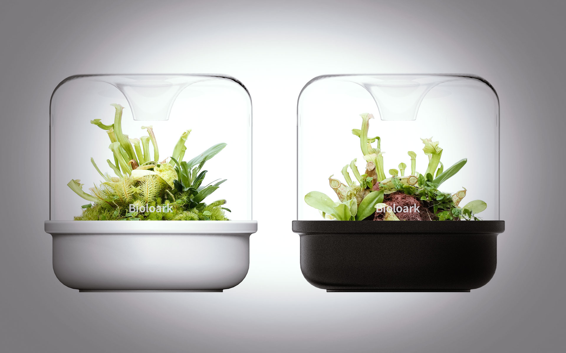 Einführung weiterer Produkte der Marke BIOLOARK