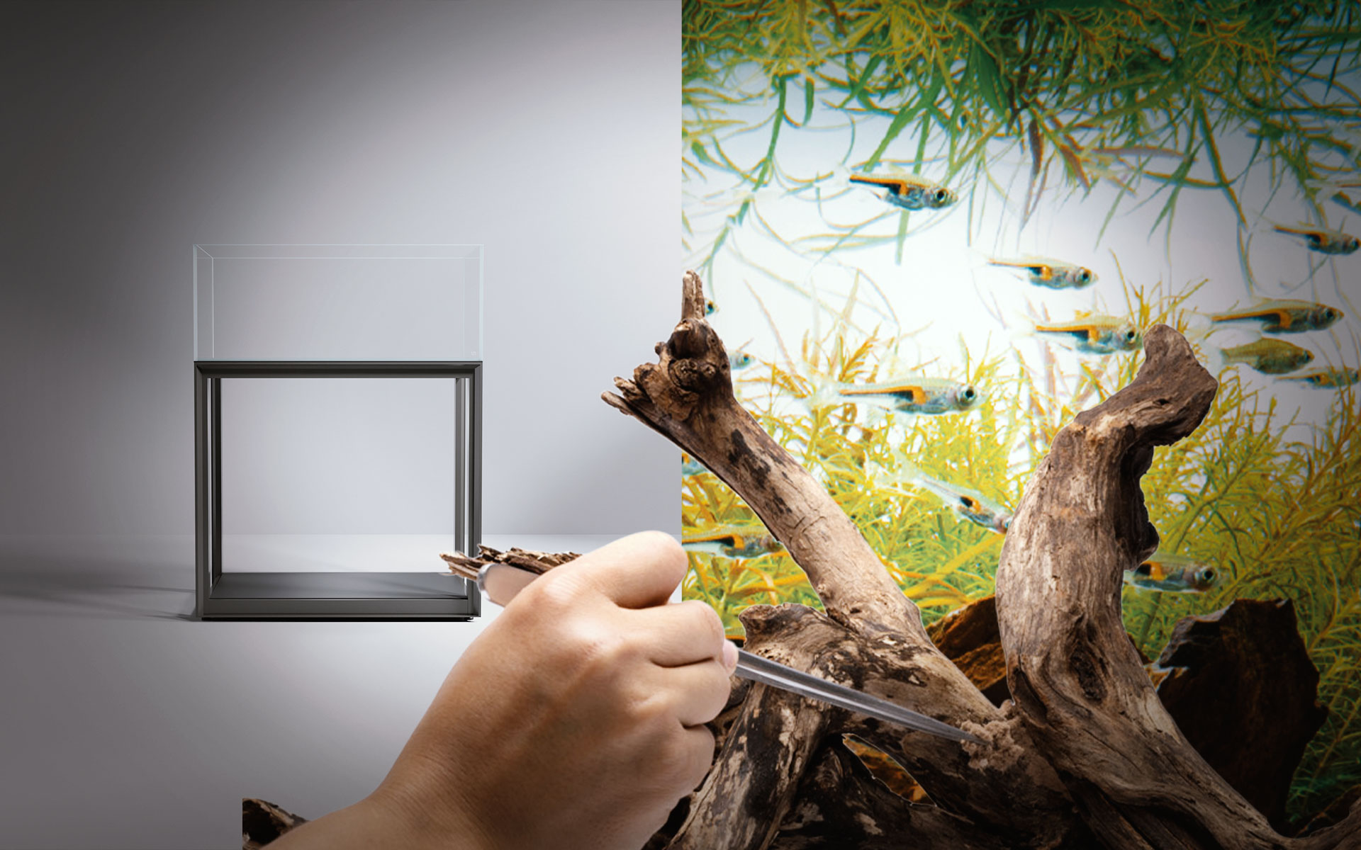 Europeanaquaristics